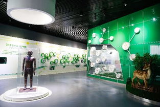 广安携手成都共建“双飞地”园区，依托朋友圈优势大力发展医药产业技术开发