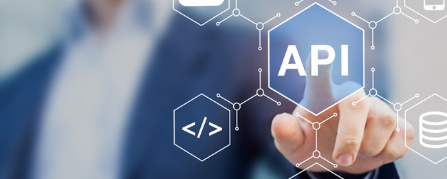 司法立案信息API接口 技术开发指南与行业应用