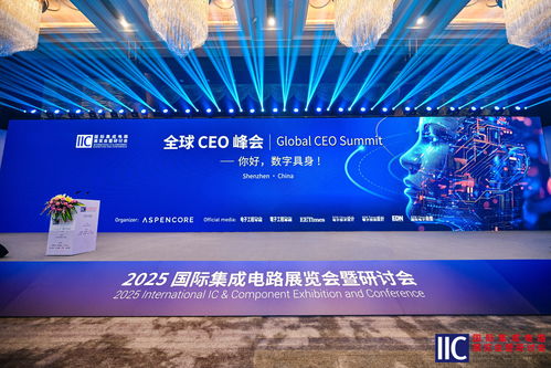 星宸科技闪耀iic shenzhen 2025，深度解读视觉AI SoC战略与开发生态新蓝图