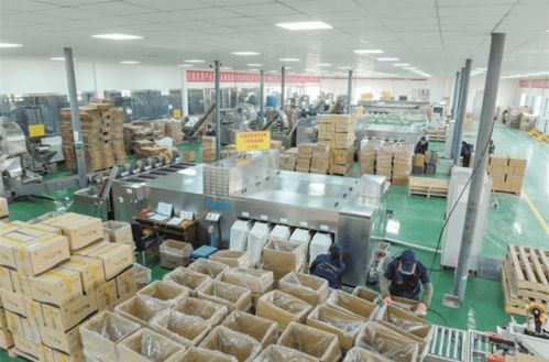 减产缘何反增收？一师阿拉尔市林果业高质量发展技术开发揭秘